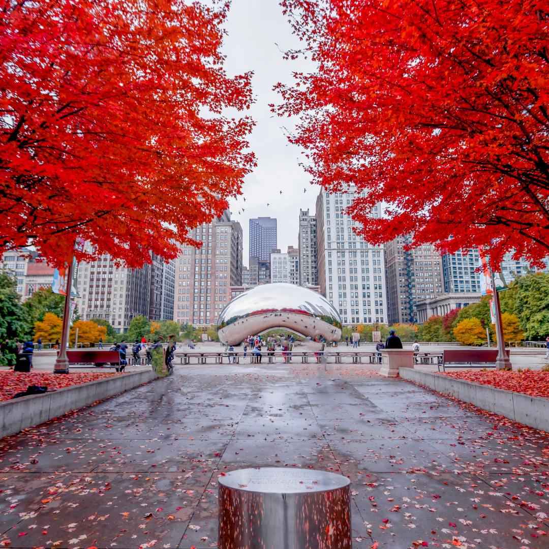 🍁 Fall-ing for Chicago: Why Autumn is the Perfect Time to Buy or Rent in the Windy City