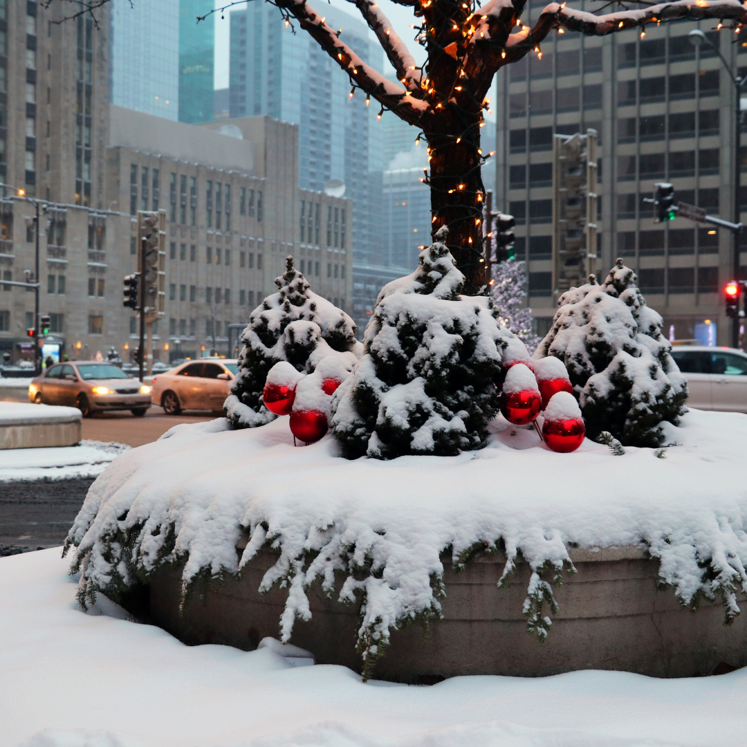Cozy Chicago Neighborhoods Perfect for Winter Living